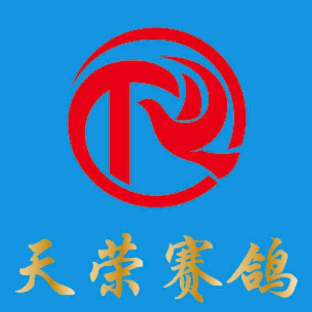 四川天荣赛鸽公棚