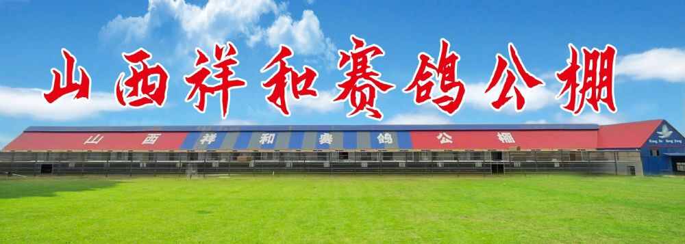 山西祥和赛鸽公棚