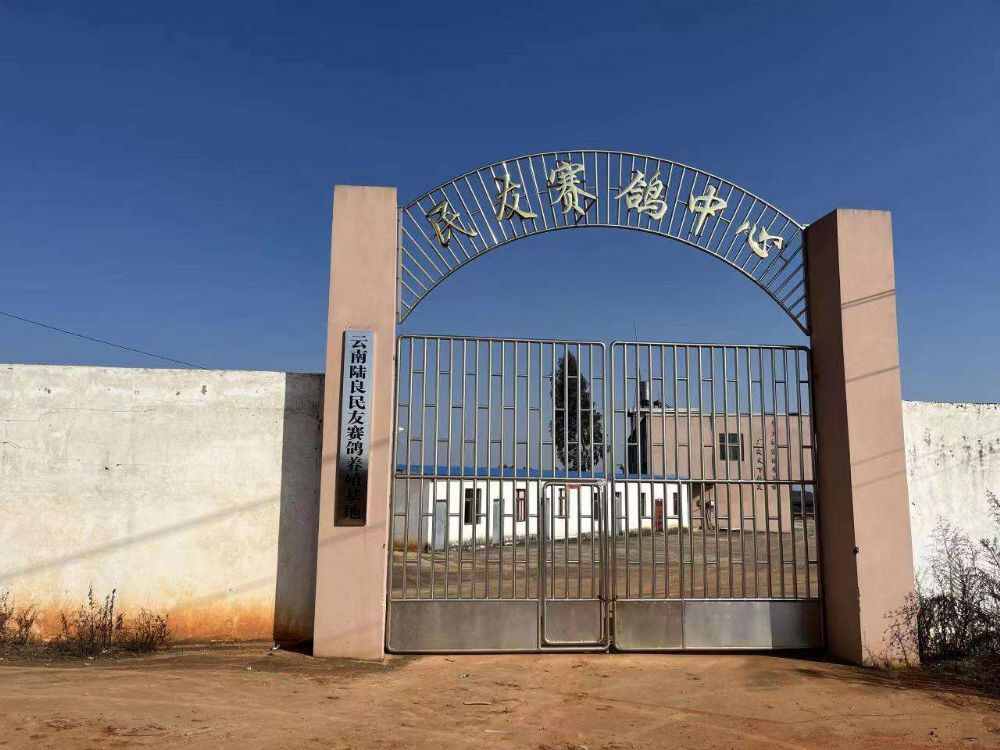 云南陆良民友赛鸽中心