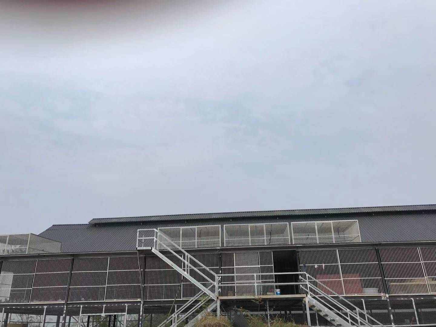 四川博翔赛鸽公棚