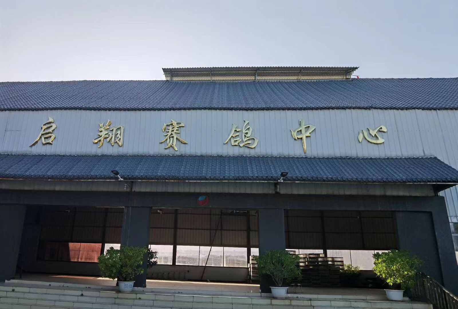 云南东川启翔赛鸽中心