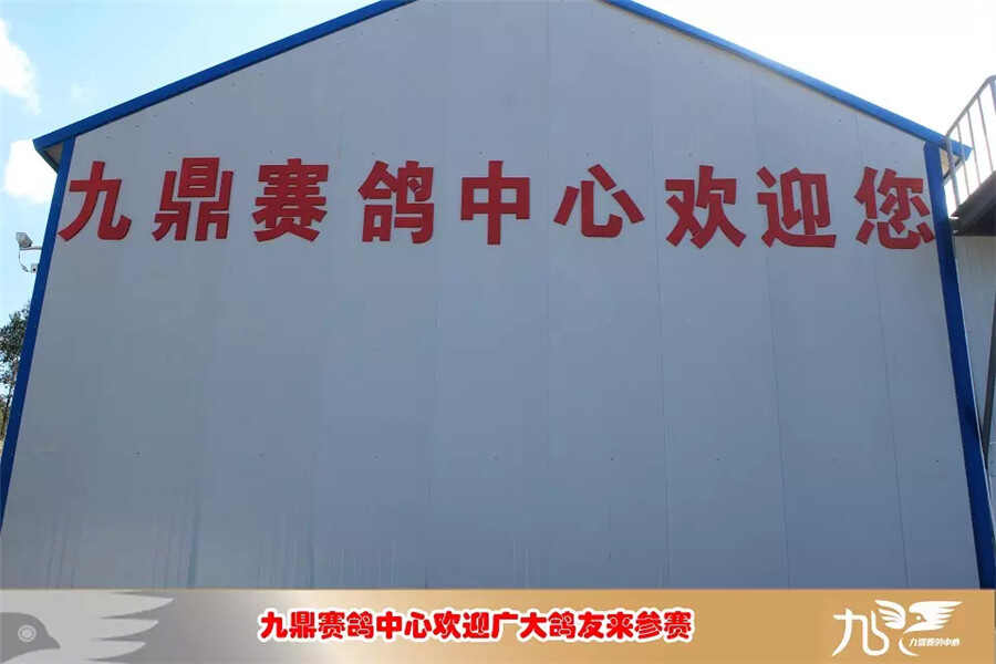 云南大理九鼎赛鸽中心