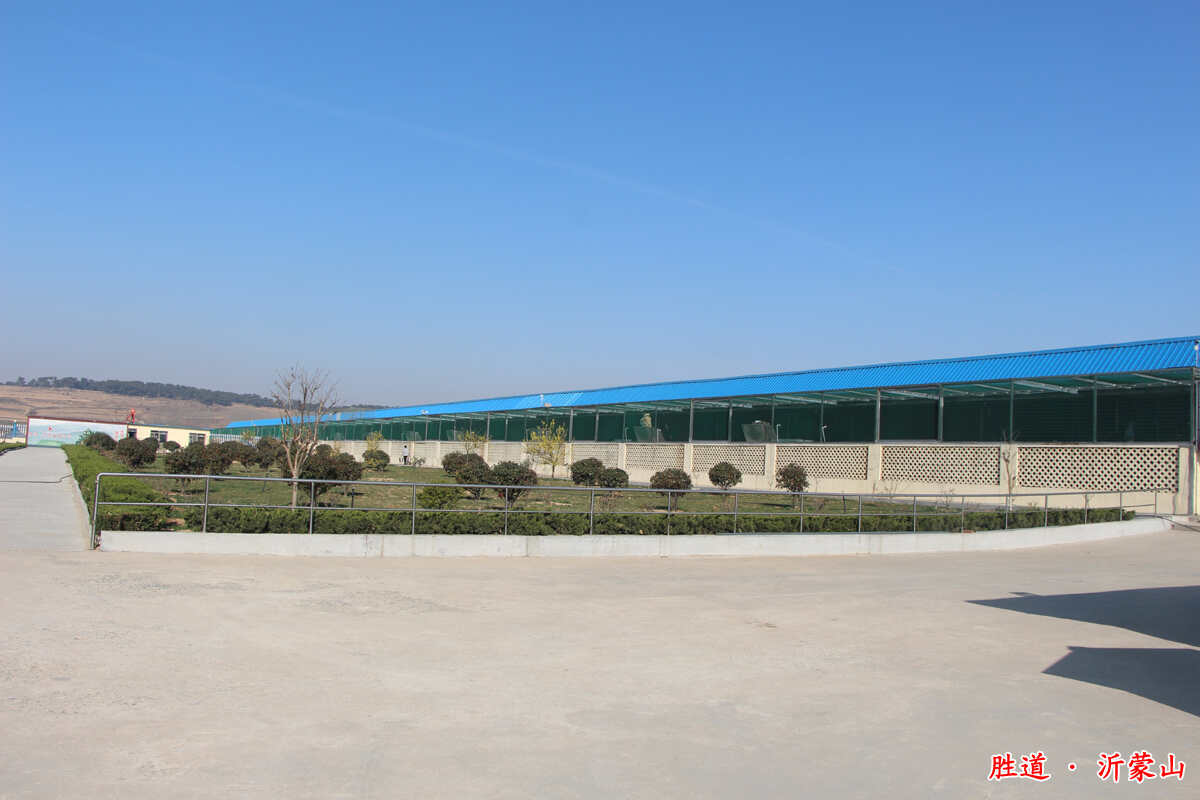 山东胜道沂蒙山(国际)赛鸽公棚