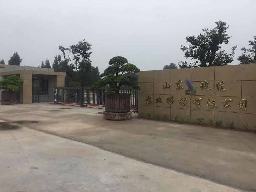 山东兆佳精英春棚(肥城)