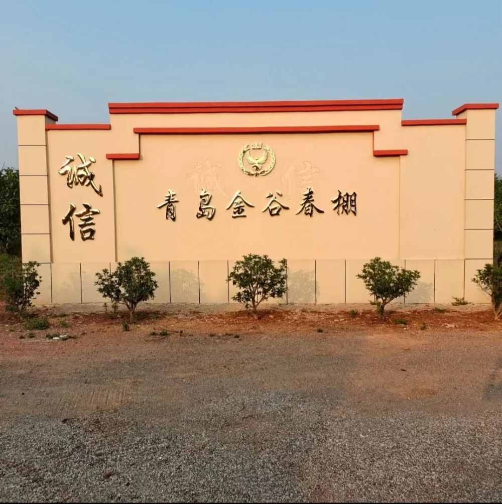 青岛金谷春棚