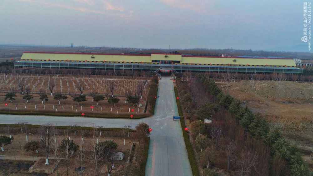 泰山信鸽国际竞翔中心