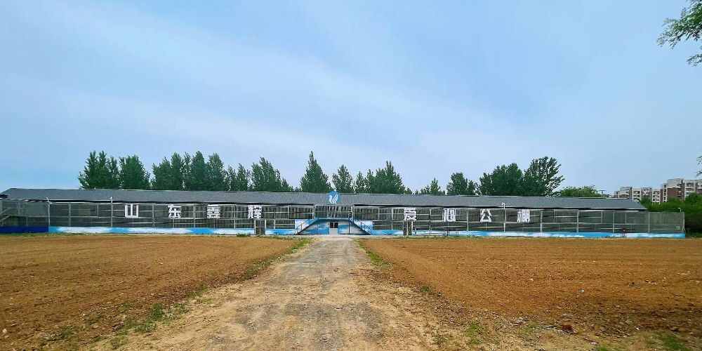 山东鑫辉爱心公棚