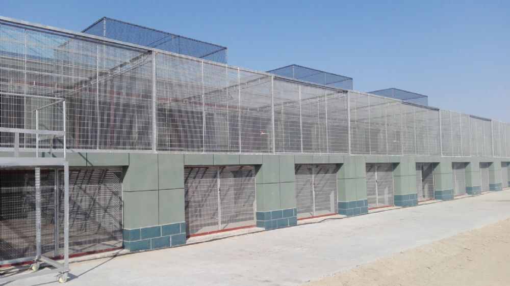 山东和利时国际赛鸽公棚