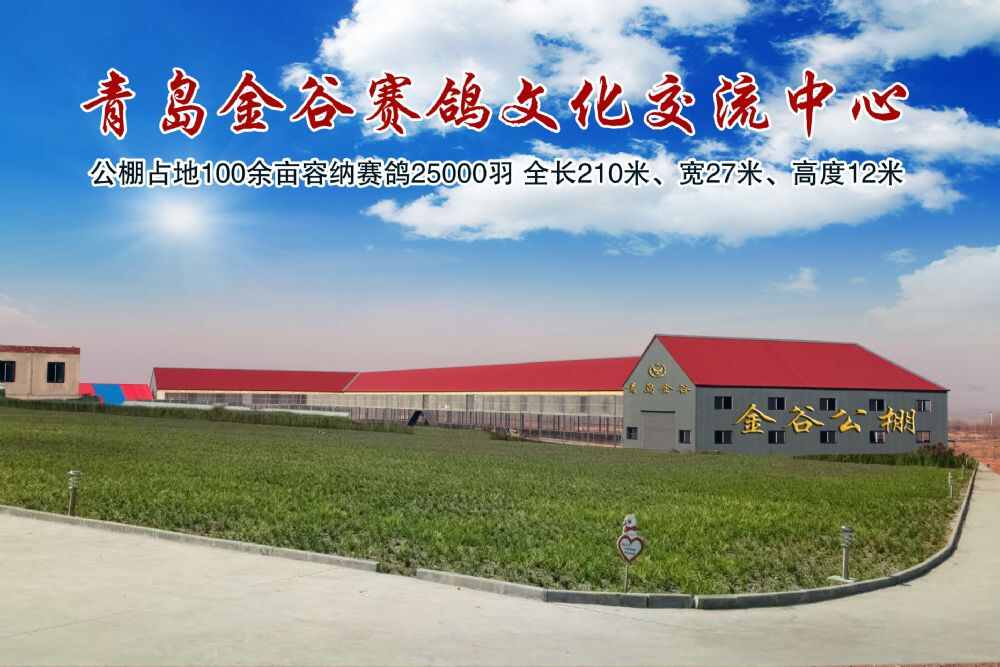 青岛金谷秋棚