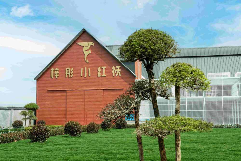 山东梓彤小红袄爱心公棚(秋棚)