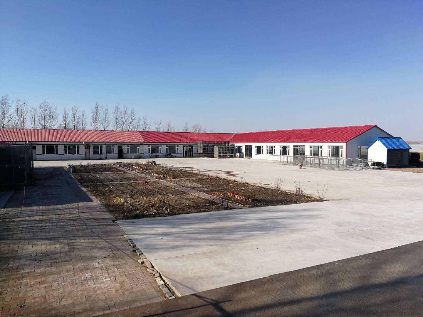 吉林省大安市信和赛鸽中心