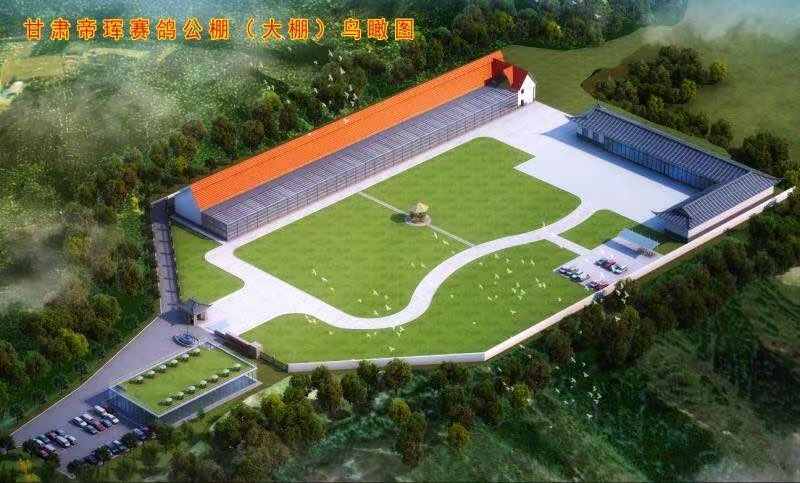 甘肃庆阳帝珲赛鸽春棚
