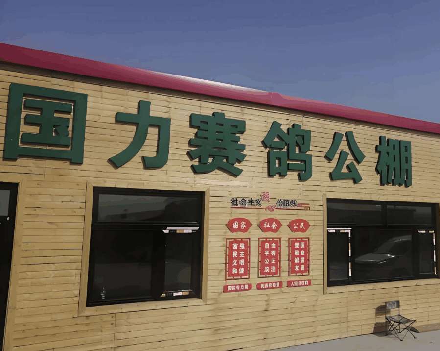 宁夏国力赛鸽公棚(秋棚)
