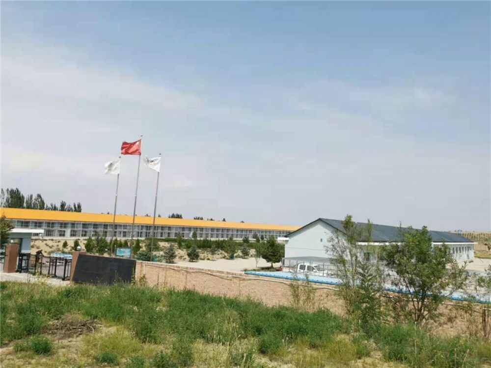 宁夏中卫赛鸽公棚