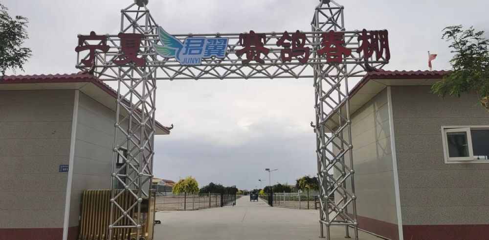 宁夏君翼赛鸽公棚（春棚）