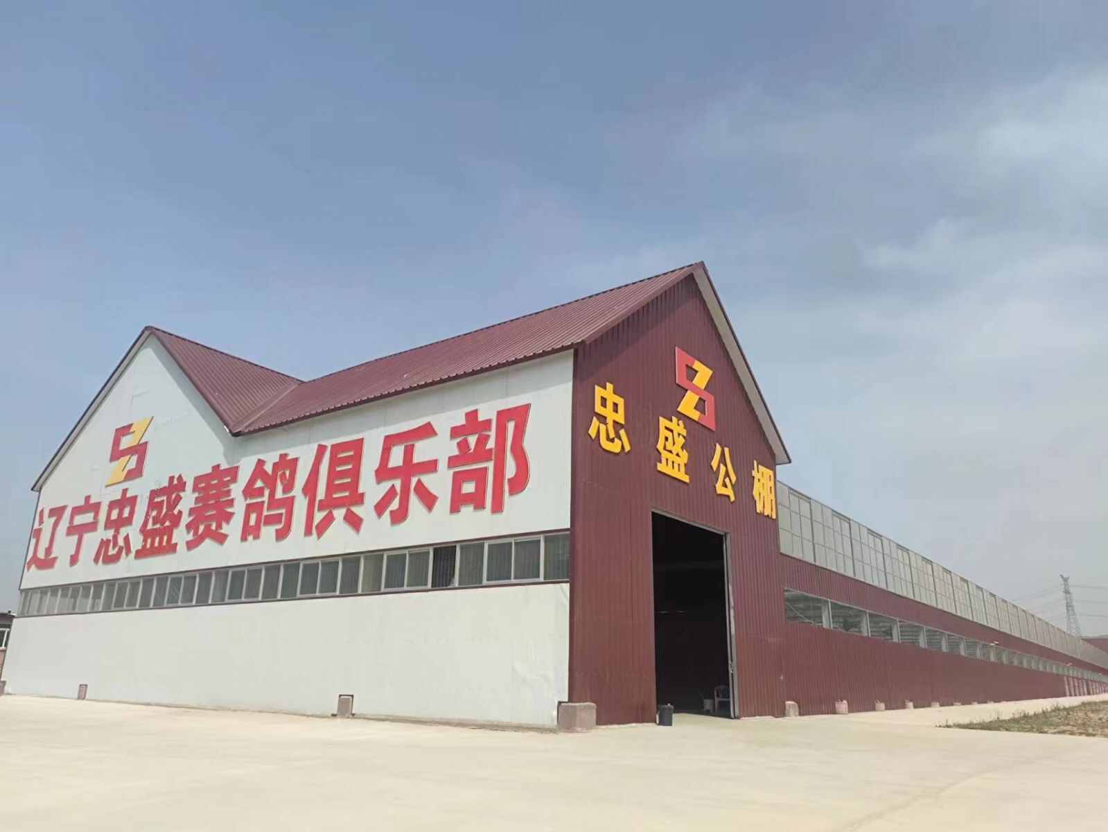 辽宁忠盛赛鸽俱乐部(春棚)