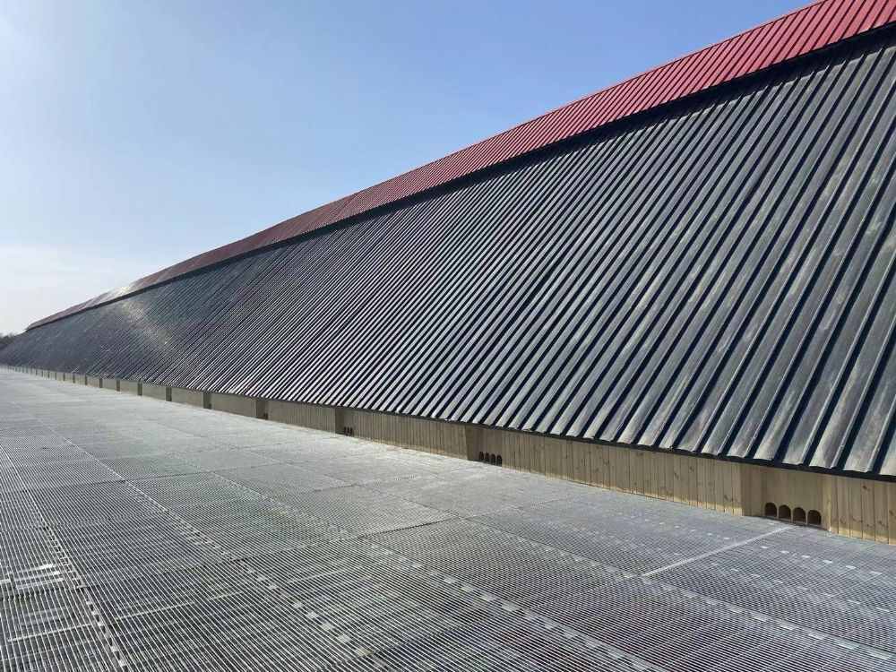 甘肃全顺翔赛鸽公棚