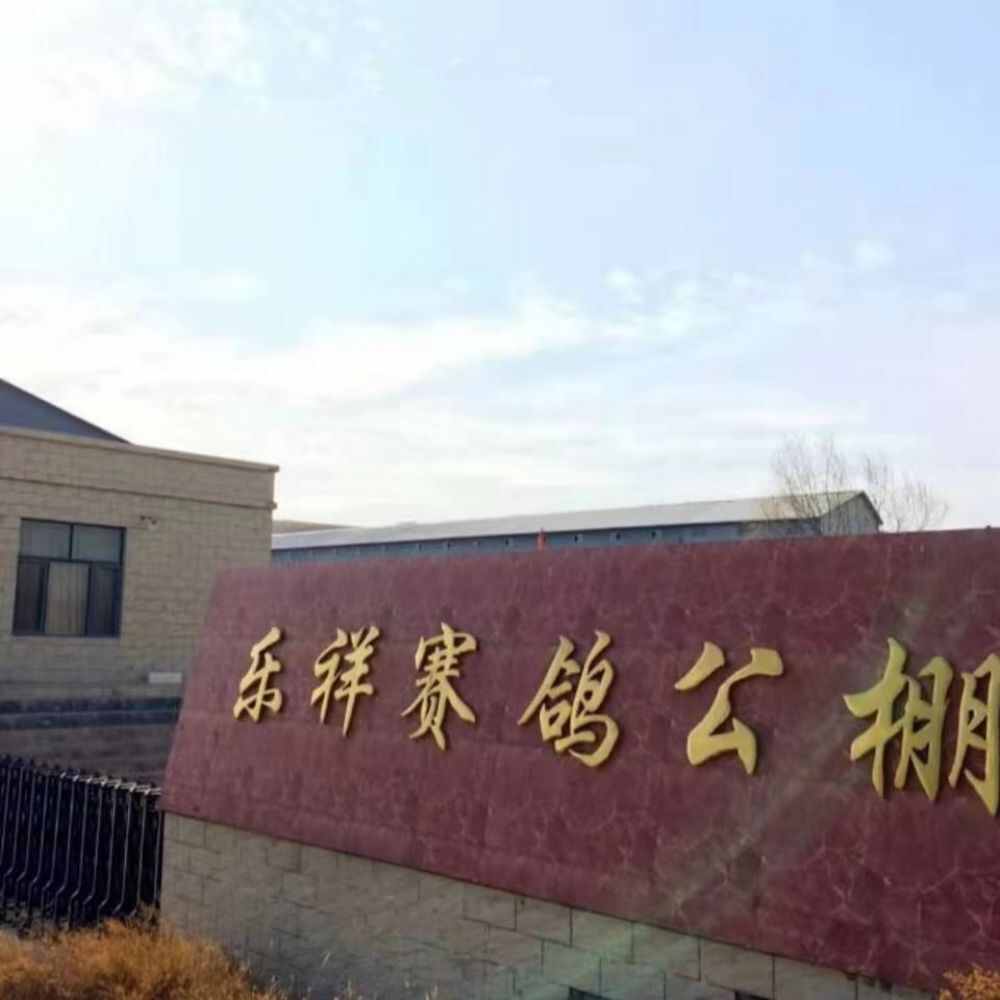 宁夏灵武市乐祥赛鸽公棚