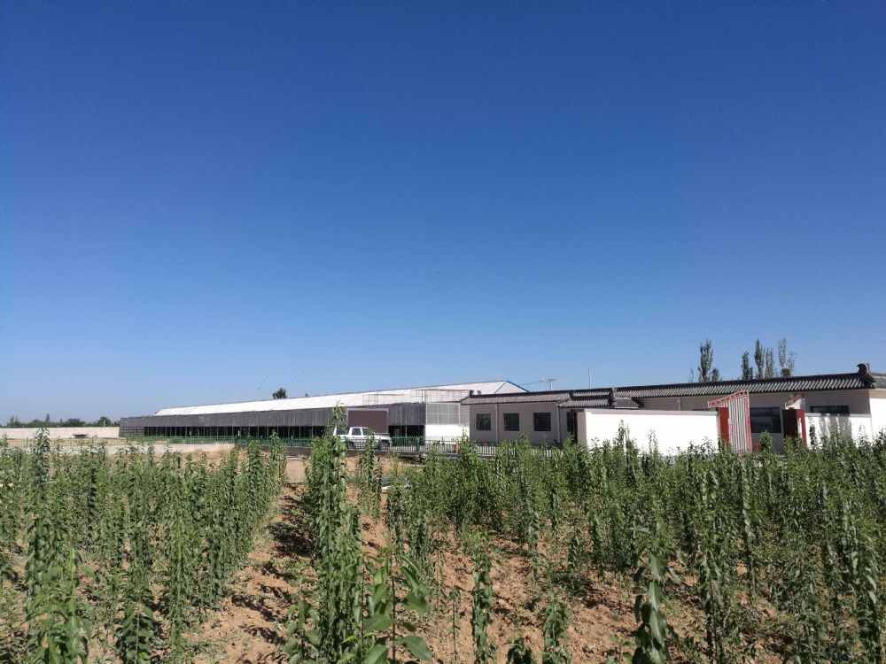 宁夏玺恒翔赛鸽公棚