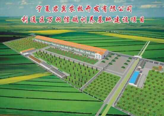 宁夏君翼赛鸽公棚（秋棚）