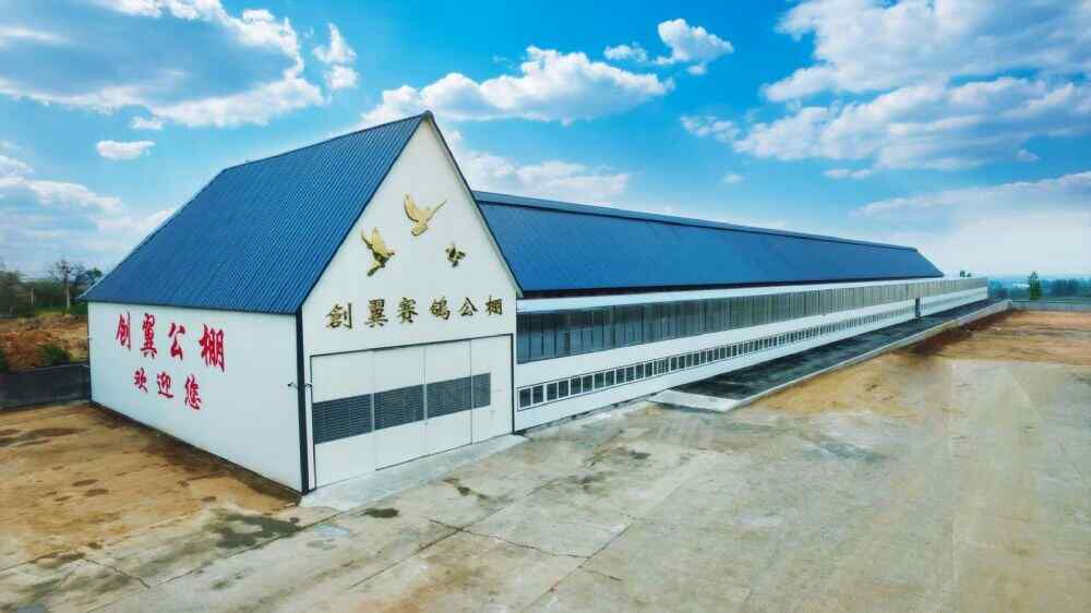 辽宁创翼赛鸽公棚(春棚)