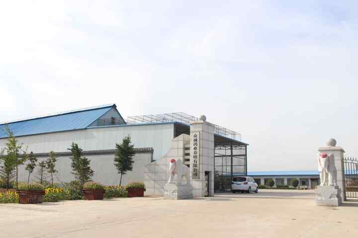 辽宁众诚赛鸽公棚