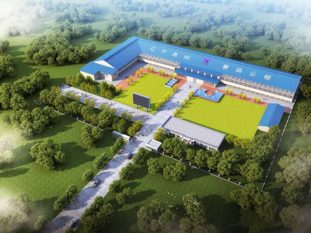 辽宁鑫翔赛鸽公棚