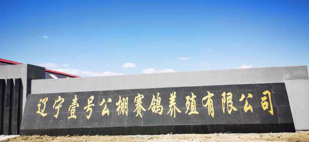 辽宁壹号公棚
