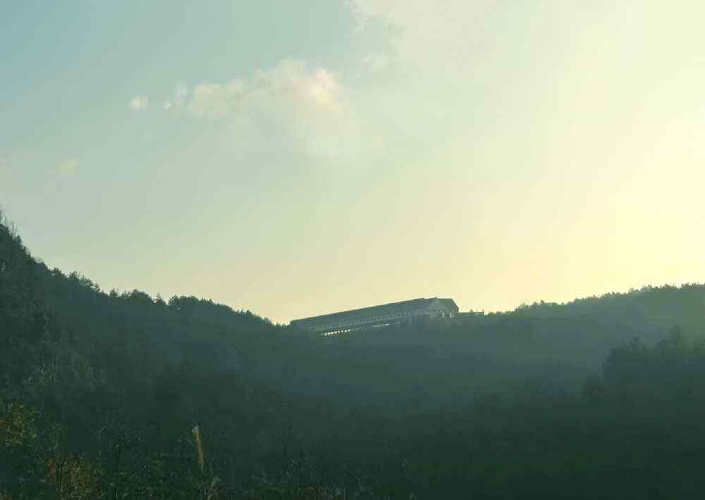 贵州百鸟缘赛鸽公棚