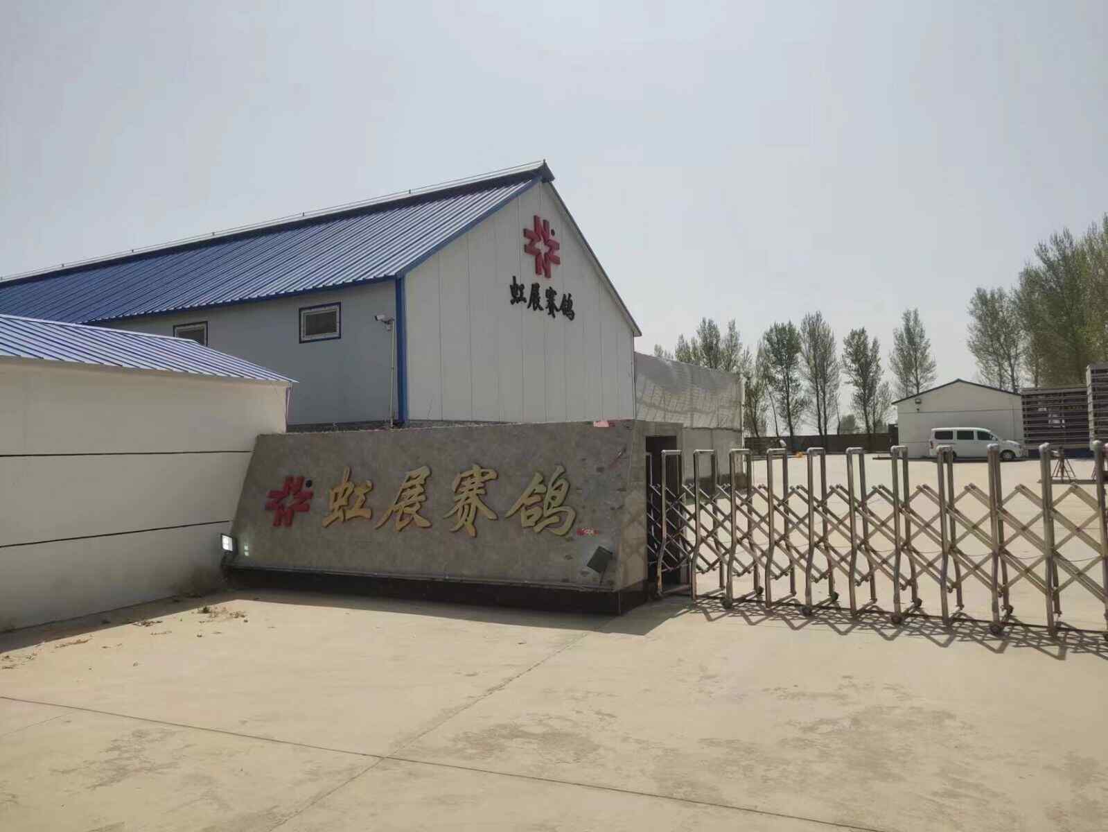 内蒙古虹展赛鸽公棚