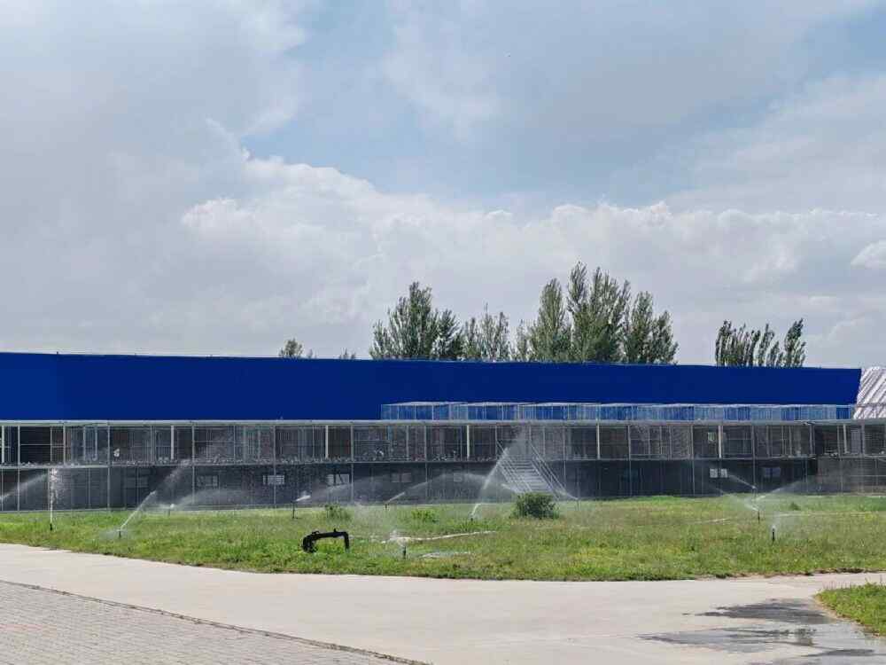 包头爱亚卡普赛鸽公棚