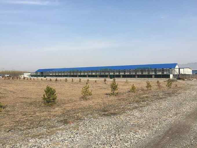 包头市逸翔赛鸽公棚(春棚)