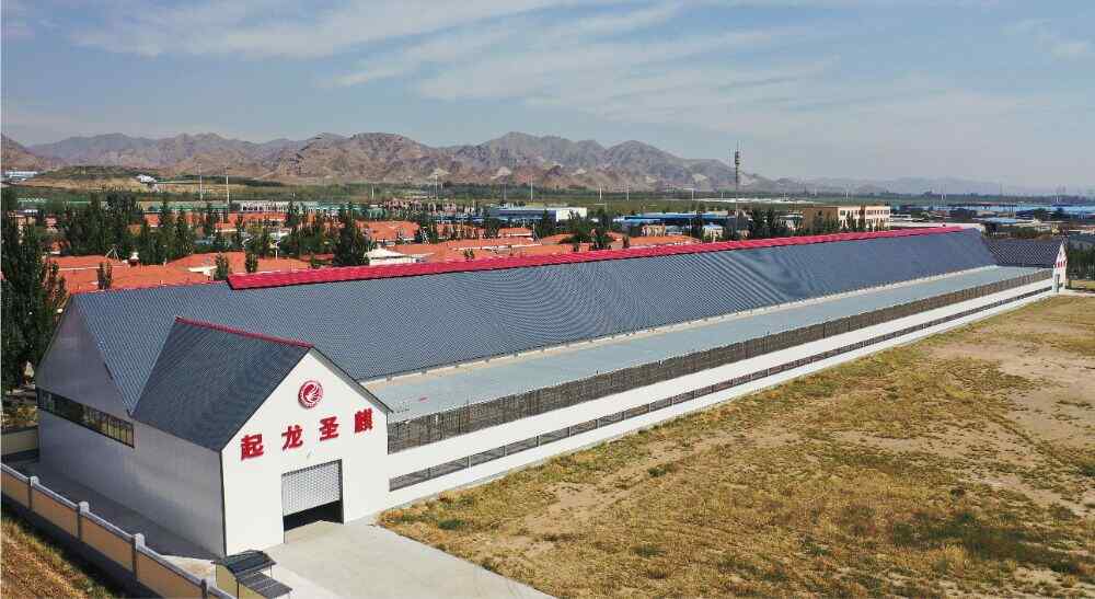 包头起龙赛鸽公棚