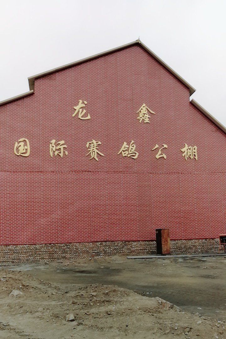 河北张家口龙鑫赛鸽公棚（大棚）