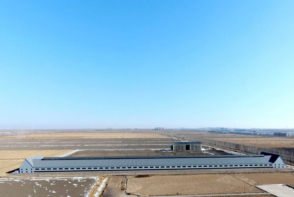 唐山卡普赛鸽公棚