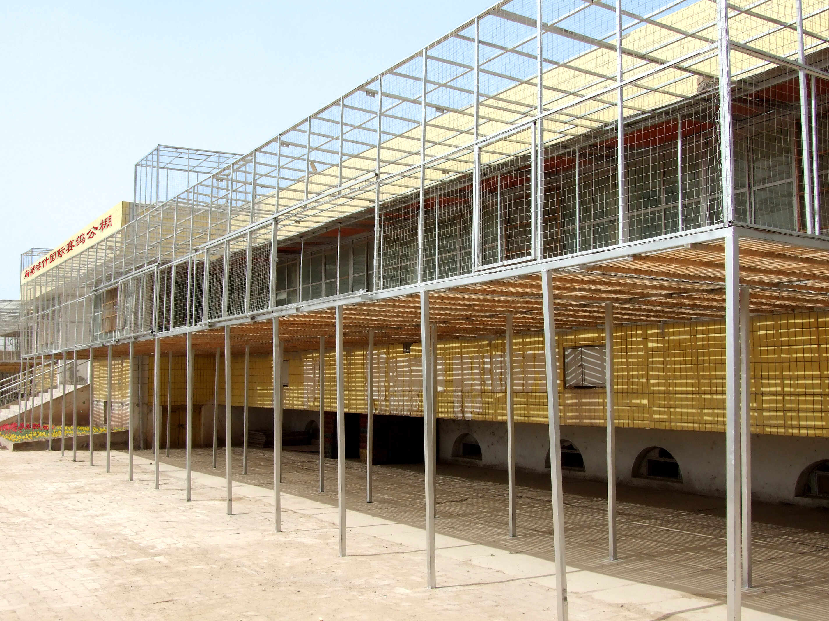 天津五江赛鸽公棚