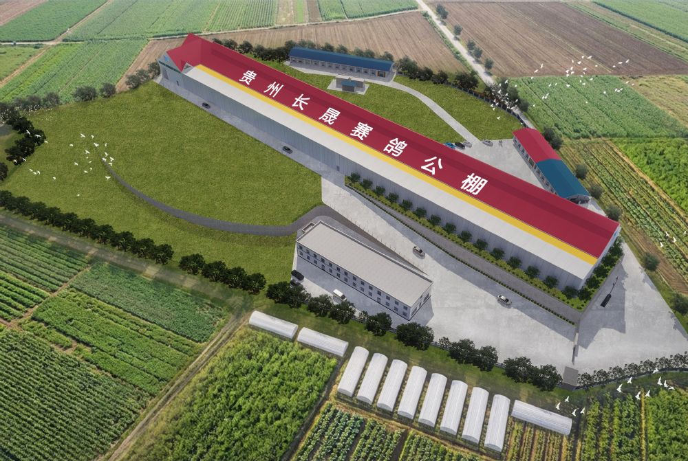 贵州长晟赛鸽公棚