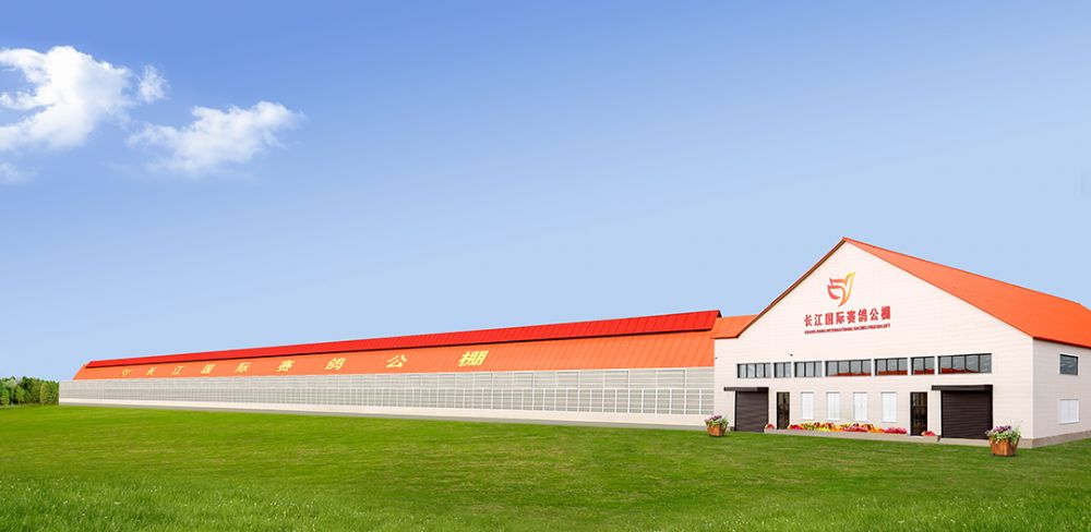 长江赛鸽公棚（春棚）