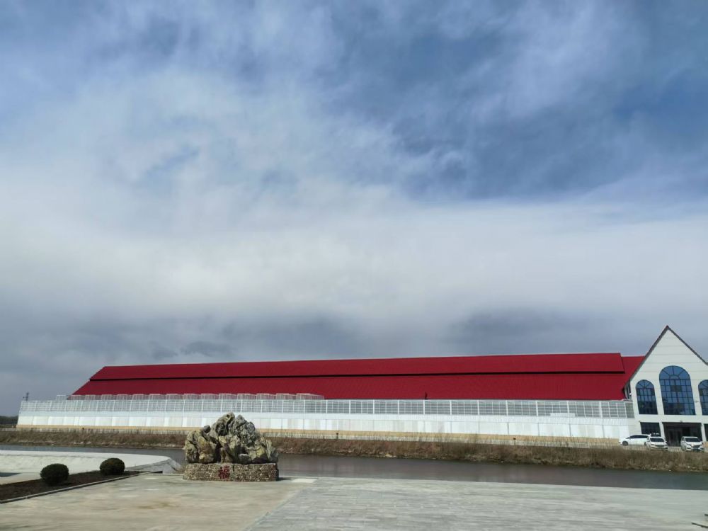 云南大理易冠赛鸽中心