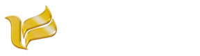 赛鸽發